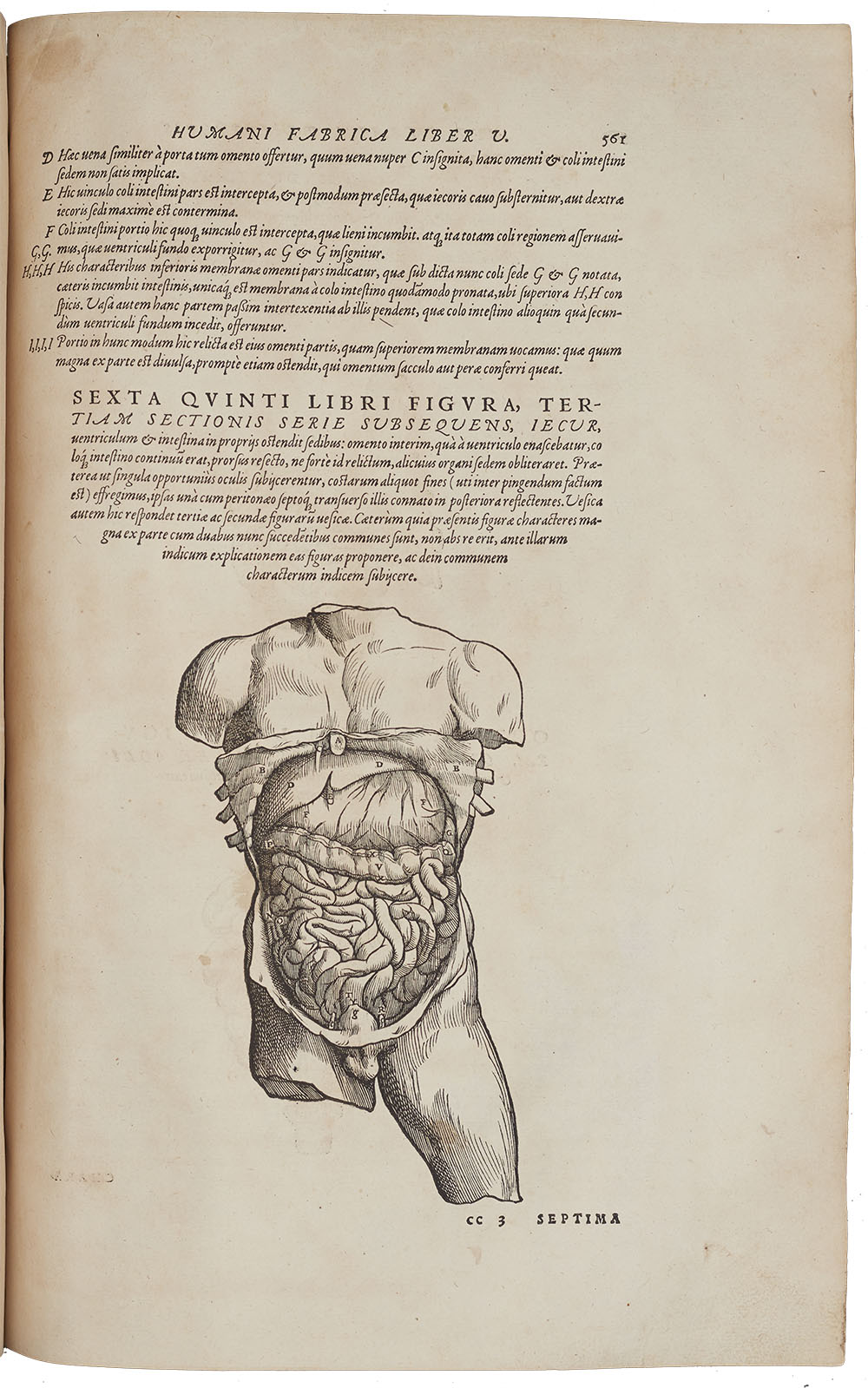<p>Observational anatomical drawing showing the layers of the trunk of the human body. With its detailed accurate labelled drawings and accompanying text, Vesalius’ ‘Fabric of the Human Body’ was a turning point in the history of medicine.</p>
