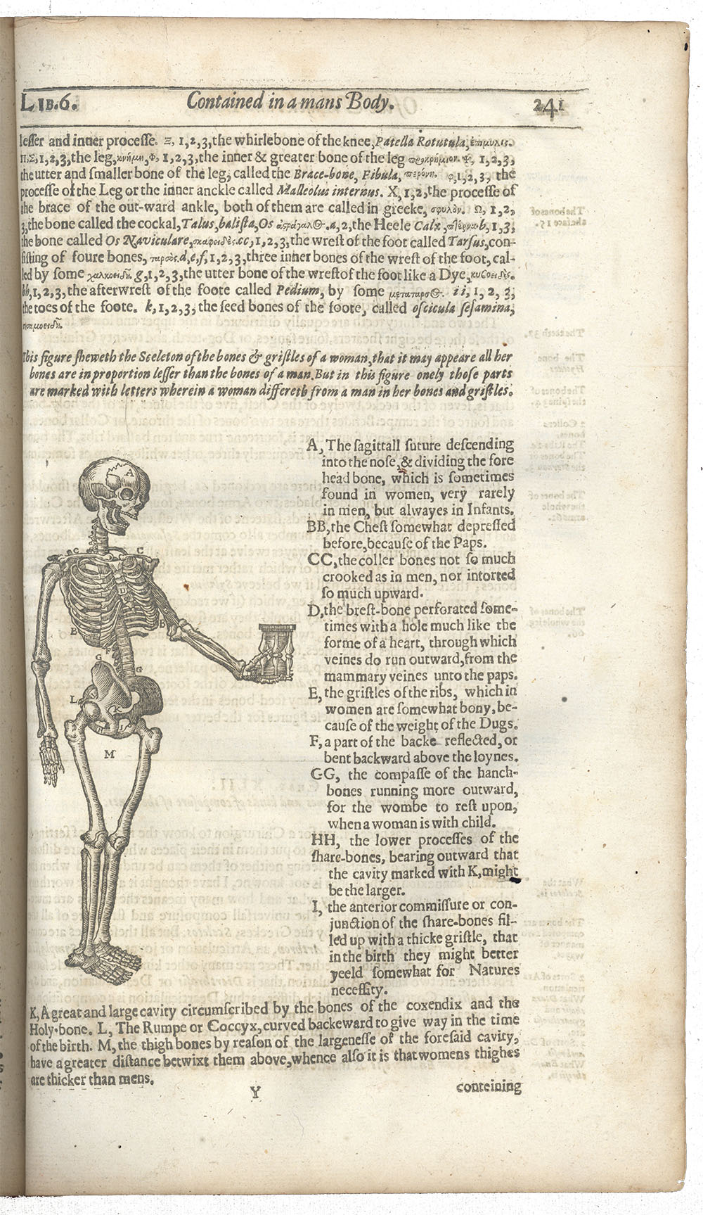 <p>Page 241. Image of skeleton holding a hourglass.</p>
